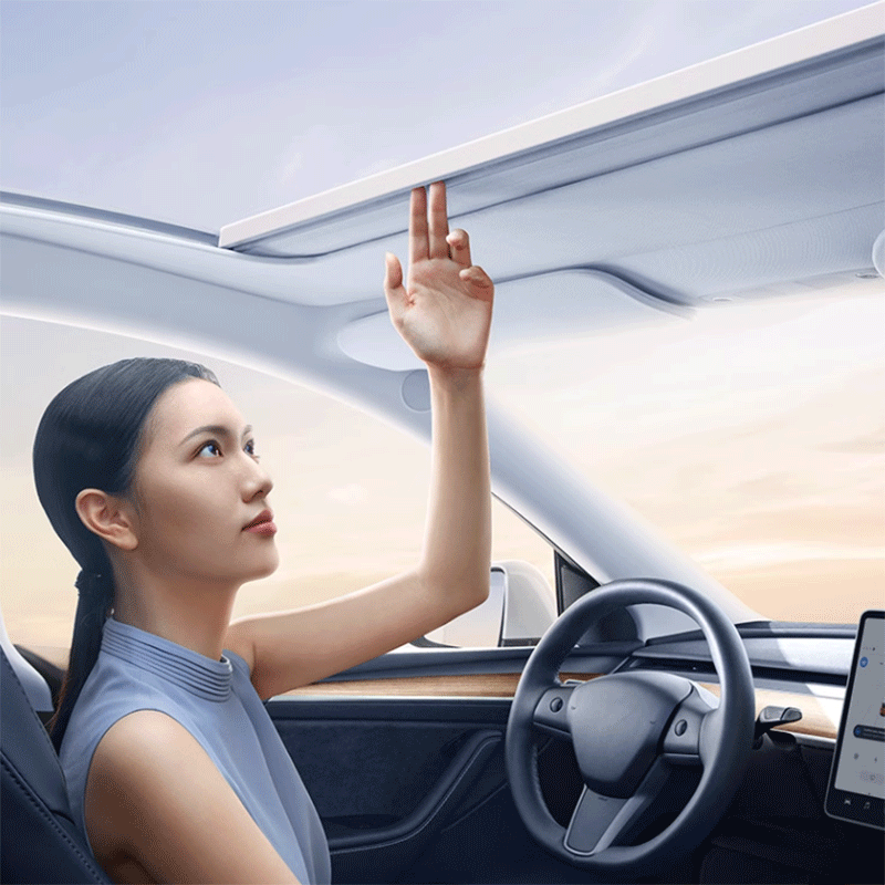 TAPTES Retractable Roof Sunshade Glass Sunshade for Tesla Model Y 2020 2023 2024