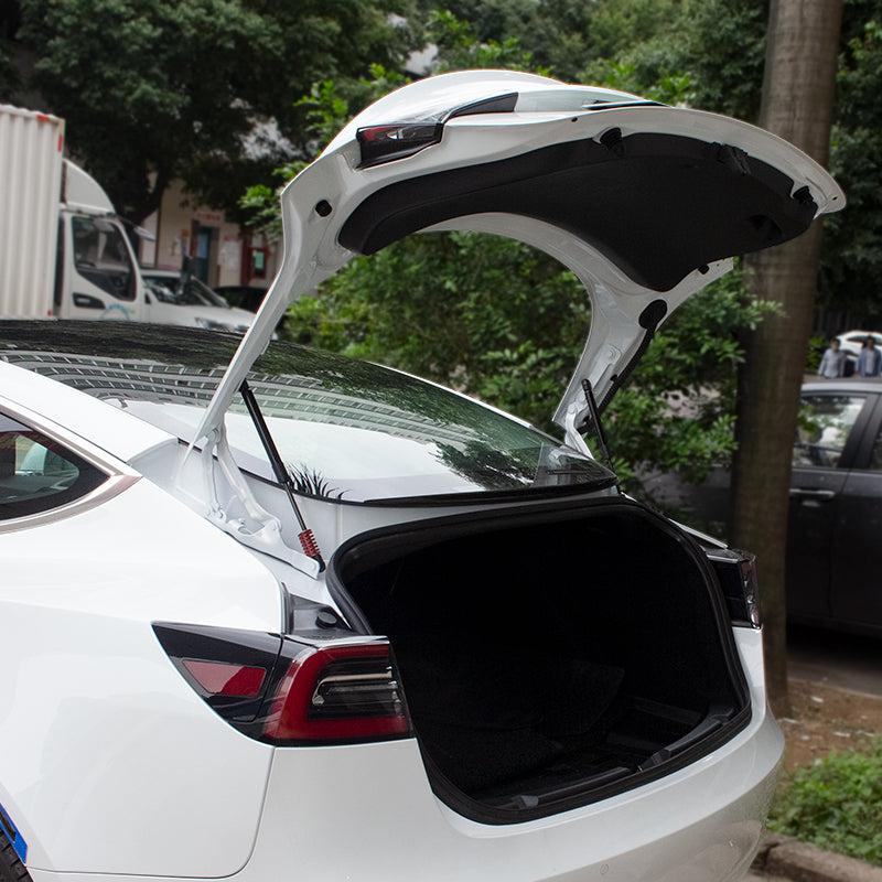 Tesla Model 3 Trunk Strut Upgrades Trunk Supports – TAPTES -1000+ Tesla  Accessories