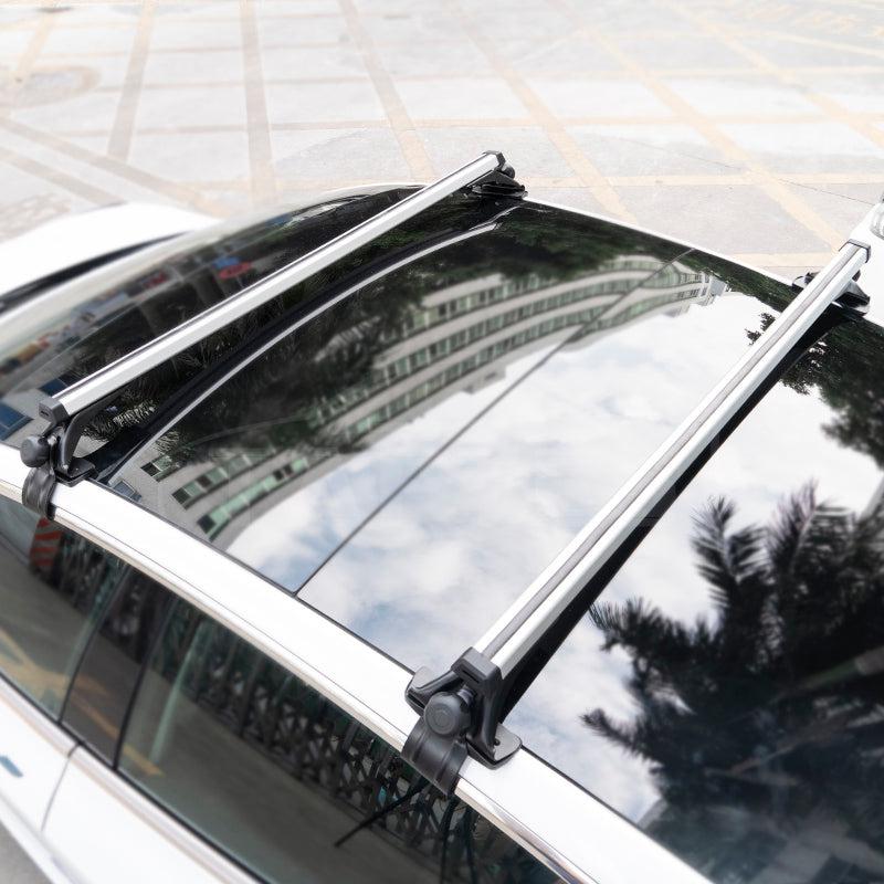 Model 3 ski 2025 rack