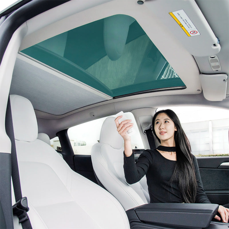http://www.taptes.com/cdn/shop/products/TAPTES-Tesla-Electric-Automatic-Retractable-Roof-Sunshade-for-Model-Y-1.jpg?v=1679569246