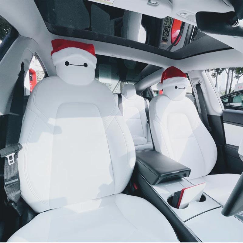 Tesla decor shop