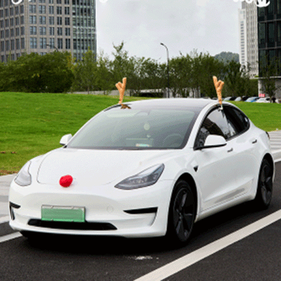 TAPTES® Car Antler Red Nose Decoration Kit for Tesla Model S/3/X/Y/Cybertruck