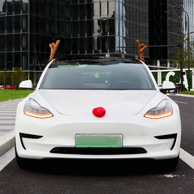 TAPTES® Car Antler Red Nose Decoration Kit for Tesla Model S/3/X/Y/Cybertruck