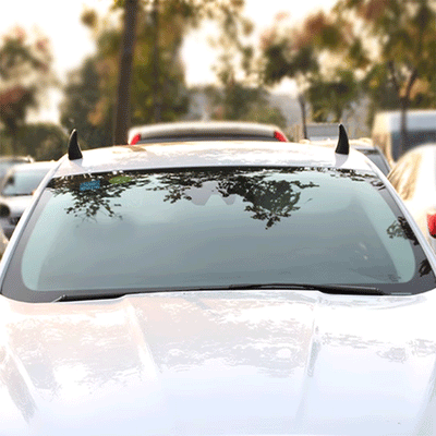 TAPTES® Car Roof Devil Horns Decoration for Tesla Model Y/3/S/X/Cybertruck