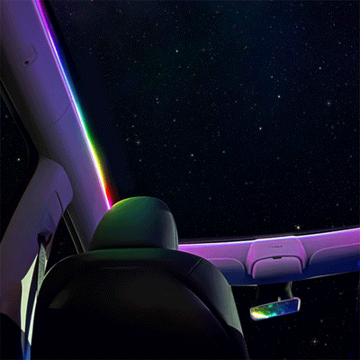 TAPTES® Car Roof Sunroof Ambient Light for Tesla Model Y 2020-2025