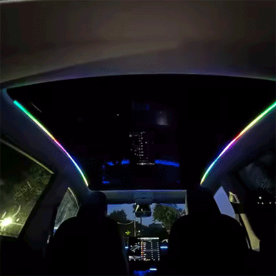 TAPTES® Car Roof Sunroof Ambient Light for Tesla Model Y 2020-2025