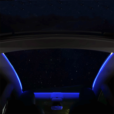 TAPTES® Car Roof Sunroof Ambient Light for Tesla Model Y 2020-2025