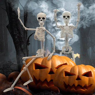 TAPTES Car Skeleton Model for Tesla Model Y/S/X/3 Halloween Decoration
