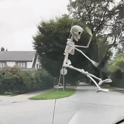 TAPTES Car Skeleton Model for Tesla Model Y/S/X/3 Halloween Decoration