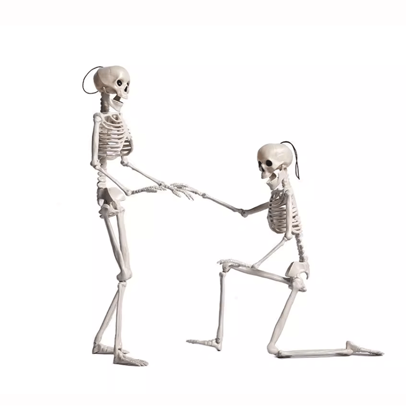 TAPTES Car Skeleton Model for Tesla Model Y/S/X/3 Halloween Decoration