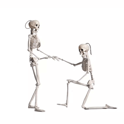 TAPTES Car Skeleton Model for Tesla Model Y/S/X/3 Halloween Decoration