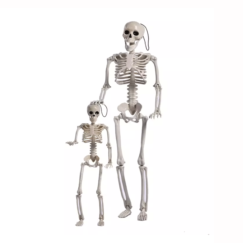 TAPTES Car Skeleton Model for Tesla Model Y/S/X/3 Halloween Decoration