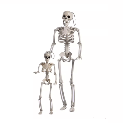 TAPTES Car Skeleton Model for Tesla Model Y/S/X/3 Halloween Decoration