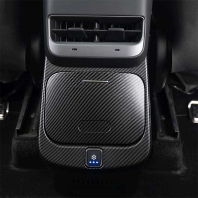 TAPTES Portable Rear Row Central Control Armrest Refrigerator for Model Y