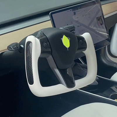 TAPTES® Yoke Steering Wheel for Tesla Model 3 Model Y, Steering Wheel for Tesla