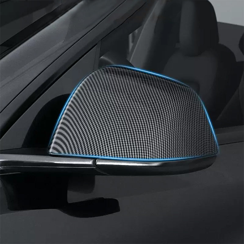 TAPTES Carbon Fiber Side Mirror Decorate Covers for Model Y 2020-2025