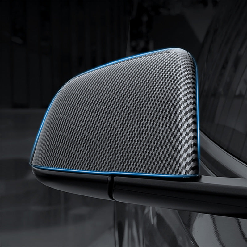 TAPTES Carbon Fiber Side Mirror Decorate Covers for Model Y 2020-2025