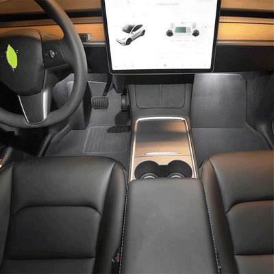 TAPTES All-Weather Floor Mats for Tesla Model Y 2024 2023 2020, Floor Mats for 5 Seater Tesla Model Y