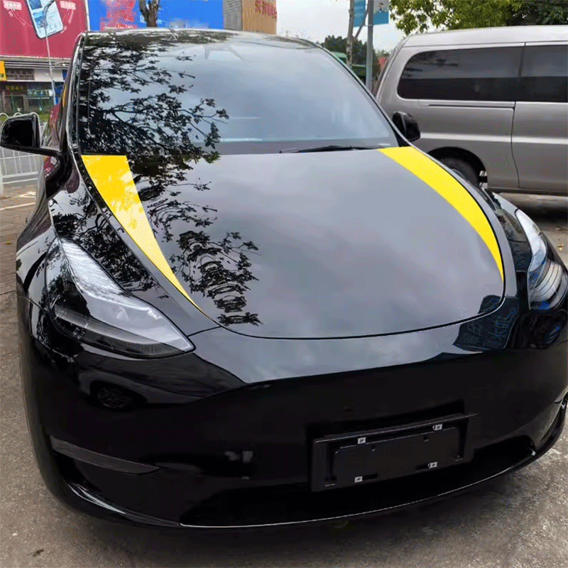 TAPTES® Car Hood Decoration Stickers for Tesla Model Y Model 3