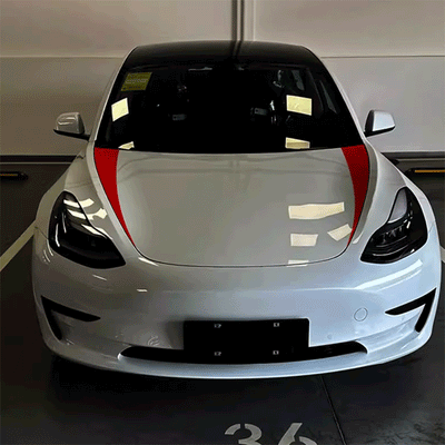 TAPTES® Car Hood Decoration Stickers for Tesla Model Y Model 3