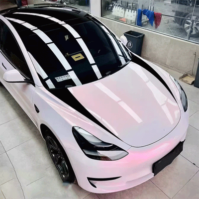 TAPTES® Car Hood Decoration Stickers for Tesla Model Y Model 3