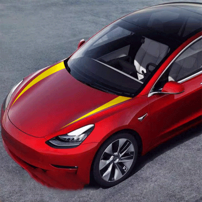 TAPTES® Car Hood Decoration Stickers for Tesla Model Y Model 3