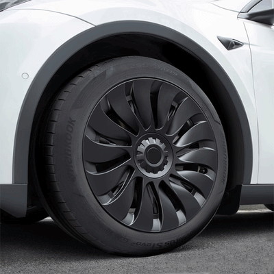 TAPTES® Hub Wheel Cover for Model Y 19-Inch 2020-2025 Hub Caps Decorative Protection, Set of 4