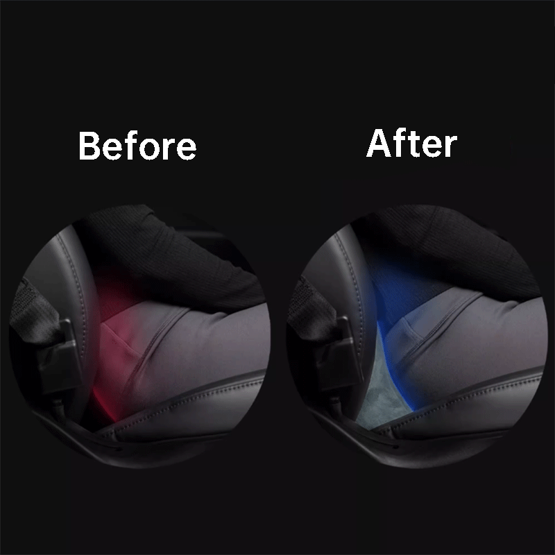 Tesla lumbar support discount