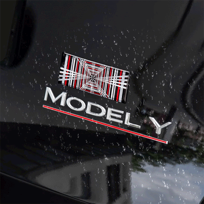 TAPTES® Plaid Tailgate Decorative Sticker for Tesla Model 3/Y