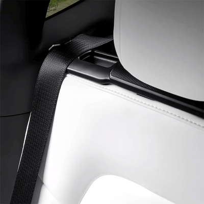 TAPTES® Rear Seat Belt Fixing Holder Limiter with Hook for Tesla Model Y 2022-2025, Set of 2