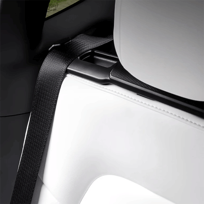 TAPTES® Rear Seat Belt Fixing Holder Limiter with Hook for Tesla Model Y 2022 2023 2024, Set of 2