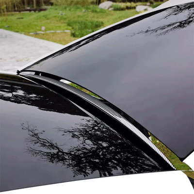 TAPTES®  Roof Spoiler/Water Proof Wing for Telsa Model Y 2020-2025
