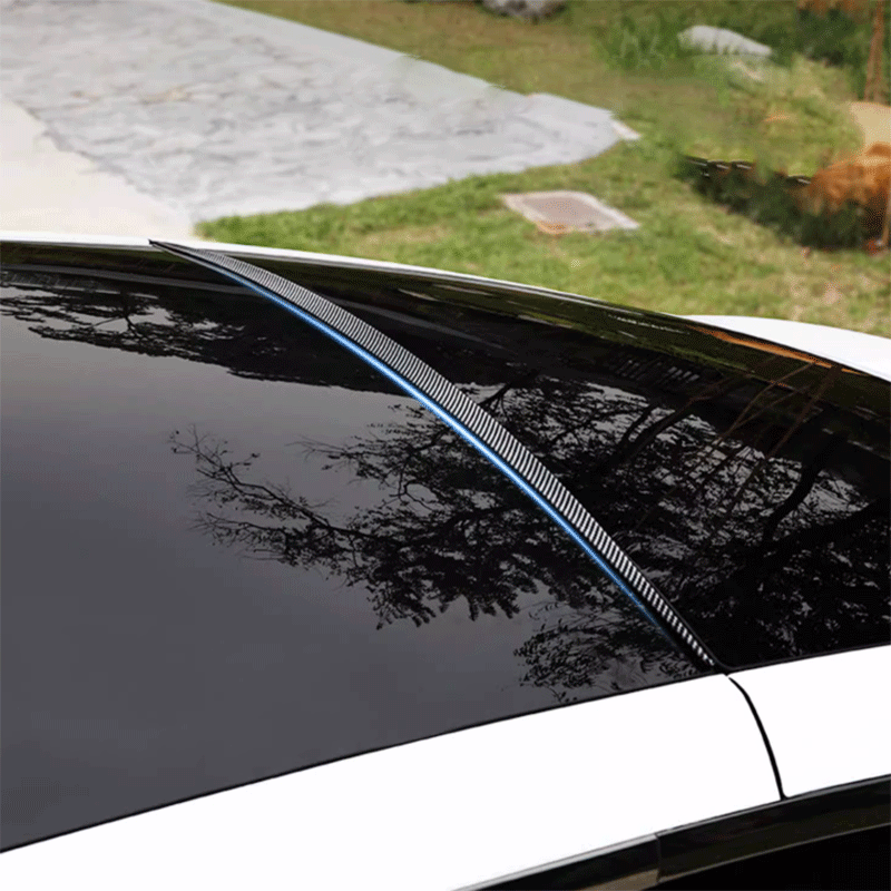 TAPTES® Roof Spoiler/Water Proof Wing for Telsa Model Y 20202023 2024