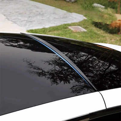 TAPTES®  Roof Spoiler/Water Proof Wing for Telsa Model Y 2020-2023 2024