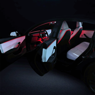 TAPTES® Seat Back LED Ambient Light for Tesla Model 3 Highland 2024-2025, Set of 2