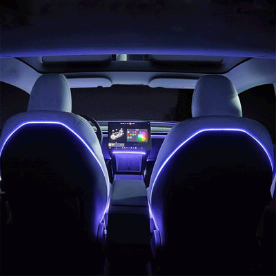TAPTES® Seat Back LED Ambient Light for Tesla Model 3 Highland 2024-2025, Set of 2