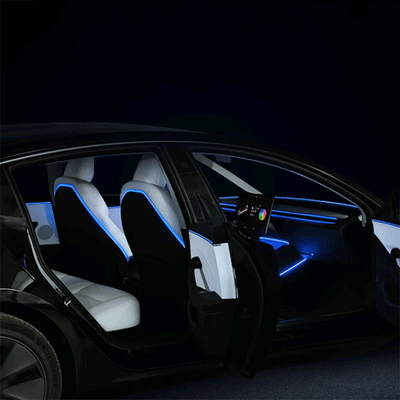 TAPTES® Seat Back LED Ambient Light for Tesla Model 3 Highland 2024-2025, Set of 2