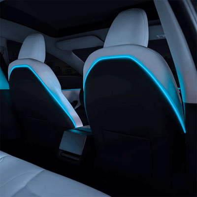 TAPTES® Seat Back LED Ambient Light for Tesla Model 3 Highland 2024-2025, Set of 2