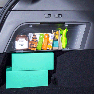 TAPTES® Trunk Side Suspended Storage Box for Tesla Model Y 2020-2025