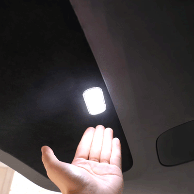 TAPTES® Trunk Tailgate Lighting for Tesla Model Y