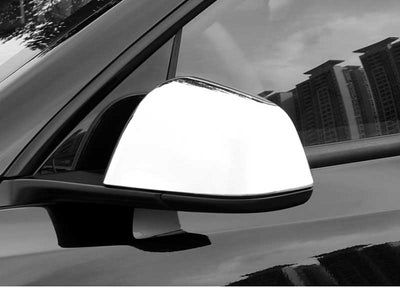 TAPTES Tesla Model 3 Mirror Caps