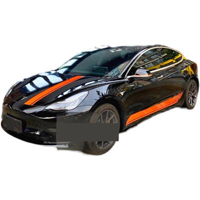 TAPTES® Decal Sticker for Tesla Model 3, Set of 4