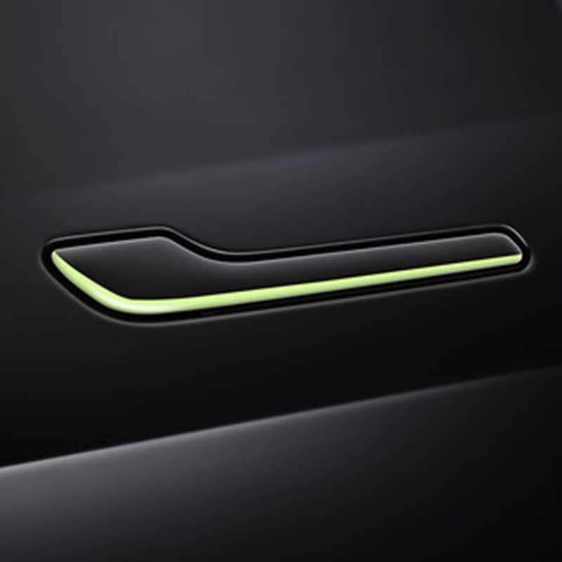 TAPTES Model 3 Model Y Anti-Scratch Door Handle Tesla Luminous Handle Sticker