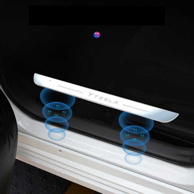 TAPTES Tesla Model 3 Threshold Strip with Light Luminous Welcome Pedal LED Atmosphere Light