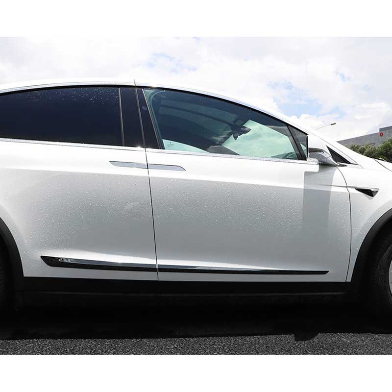 TAPTES Model X Anti-Scratch Anti-Collision Stainless Steel Strip Car Door Edge Guard Protector
