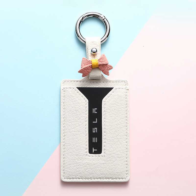 TAPTES Tesla Model Y & Model 3  Key Card Holder