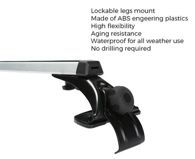 TAPTES Roof Rack for Tesla Model 3 2023-2017