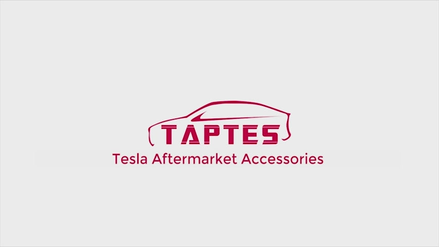  TAPTES Floor Mats for Tesla Model 3 2017-2024, Premium